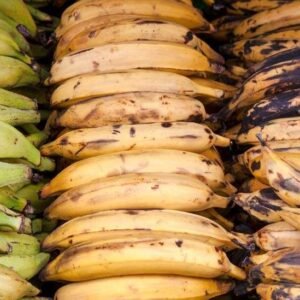 Plantain (per pack) - SMK African StoreSMK African Store#african_Caribbean_online_Groceries_store#